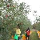 기산축산 이미지