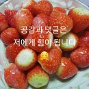 치킨신드롬화명역점 이미지