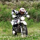 나오키