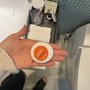 베이힐풀앤빌라 | (제주) 2박3일 | 미니 컨버터블과 사랑에 빠진 나 | 베이힐풀앤빌라 후기