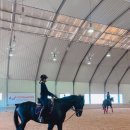 홀스마스터즈 승마클럽 이미지