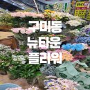 뉴-타운플라워 이미지