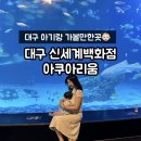 신세계수족관 | [대구 아기랑 가볼만한곳] 6개월 아기와 대구 신세계 아쿠아리움 후기