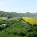 금강 - 용산구 만리재로36길 16-1 | 금강
