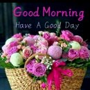 고요한꽃뜰 이미지