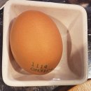 일번지약국 이미지