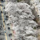 여의서로 이미지