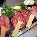 마곡 소고기 룸식당 투플러스 나인 한우맛집 ! 일품한우 마곡점 후기