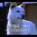 세진컴퓨터랜드