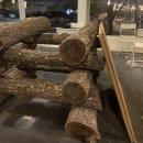 구.교하중 | 2달 남은 2020