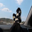 안녕오토캠핑장 이미지