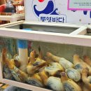 순창전통시장 터미널 | 통영중앙전통시장 먹거리 굴 석화 해산물 가격 포장 후기