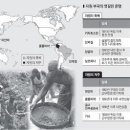 월드자원 이미지