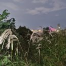 난지빗물펌프장 이미지