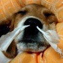 여의도이비인후과의원 이미지