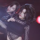 BP스포츠