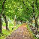 지리산갈비촌 이미지