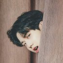 도운