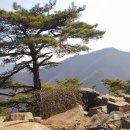 와중방가든 이미지