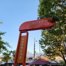 씨유펫송내점 | [부천 24시 무인애견용품점] 씨유펫 송내점