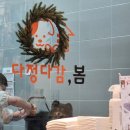 다정다감, 봄 이미지