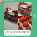 나라엠앤디(주)성주본사 | 3.9.새벽달콤.달달초.오매지산,와우딸기 - 죽향딸기, 성주꿀참외, 블랙펄수박,조생흑미수박,성주꿀참외