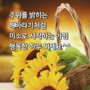 정열