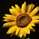 명곡종합상가 이미지