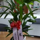 강남대로12길 23-6 이미지