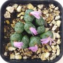 (유)지담 이미지