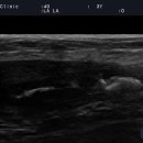 채플린동물병원 이미지