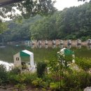 천평낚시터 이미지