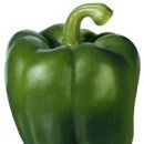 피망 이미지