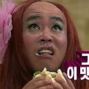 마타비 이미지