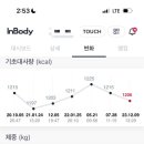 린핏