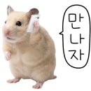 에이피엔