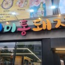 선미통돼지시지 이미지