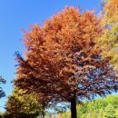 담빛음악당 무료 영화 상영 이미지