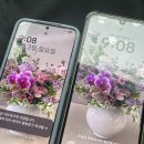 뜰에가득flower