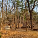 유아숲화장실 이미지