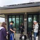 함덕스쿠버다이빙 이미지