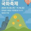 영암군 달빛축제 | 월출산 국화축제 2025 일정 볼거리 총정리 영암 가을여행 추천
