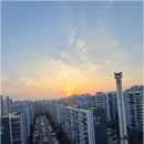 뿌리공인중개사사무소 이미지