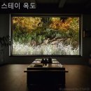 스테이 옥도 | 군산선유도펜션 스테이 옥도 여름철 휴가 숙소 추천