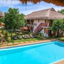 그린파파야 이미지