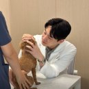 24시 해든동물의료센터 의정부점 이미지