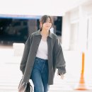 다미 이미지
