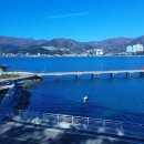 엘마르민박 이미지