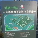 에코랜드수영장 다목적구장 이미지