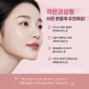작은코성형 어떻게 할까? 실제 상담 후기와 수술 방법 정리